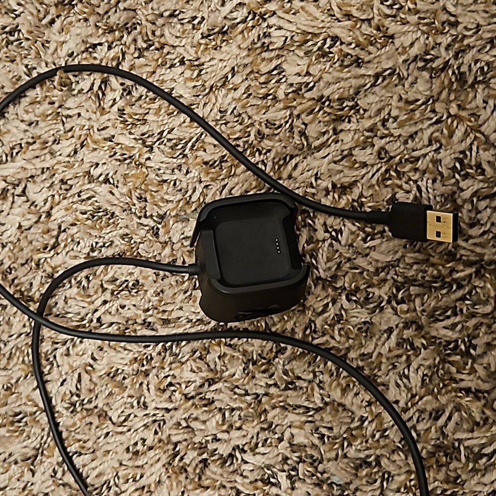 Fitbit Versa Charging Cable